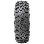 Maxxis Carnivore 1